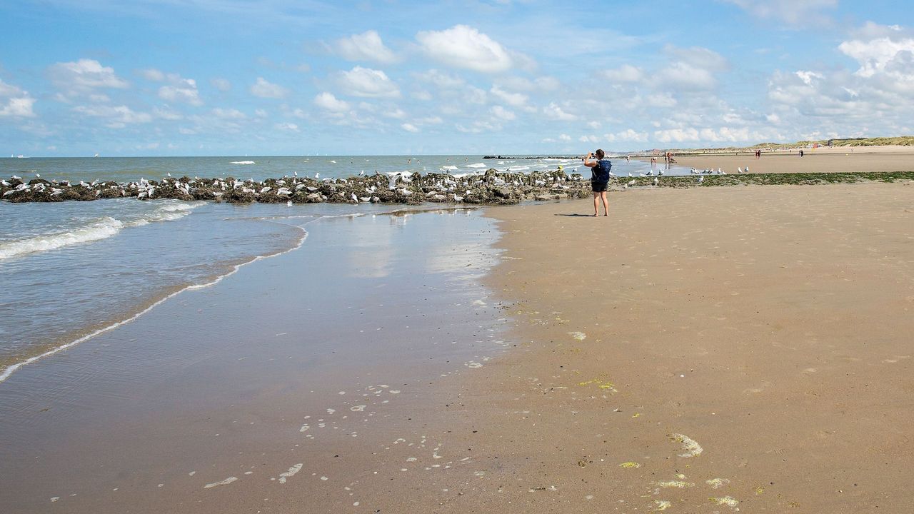 AreaSummer1KM AreaSummer1KM